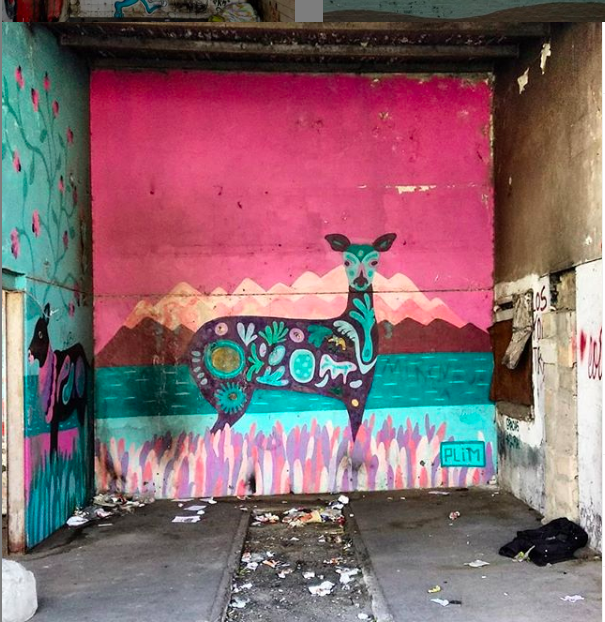 captura-de-pantalla-2019-11-24-a-las-13.56.20-1